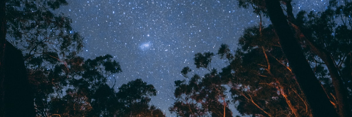 家庭用户在森林中使用露营装备享受星空露营的美好画面